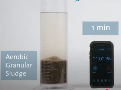 Bio-Desodorierungsbakterien