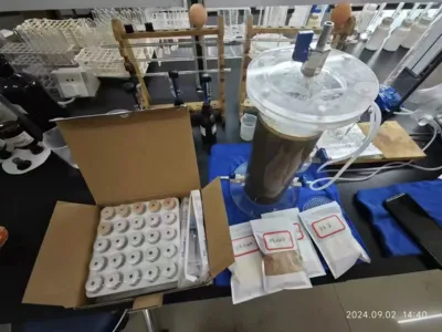 DMF Hocheffiziente Entfernungsbakterien