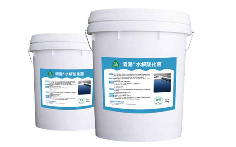 Hydrolytische Säuerungsbakterien