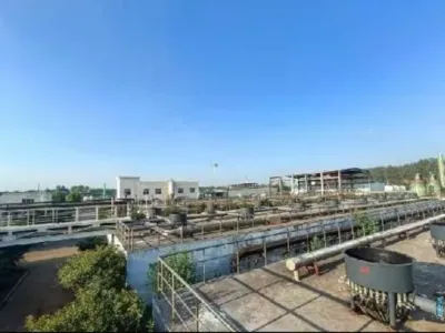 Hydrolytische Säuerungsbakterien