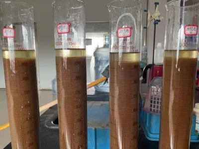 Ammoniakstickstoff-Entfernungsbakterien (Autotroph)