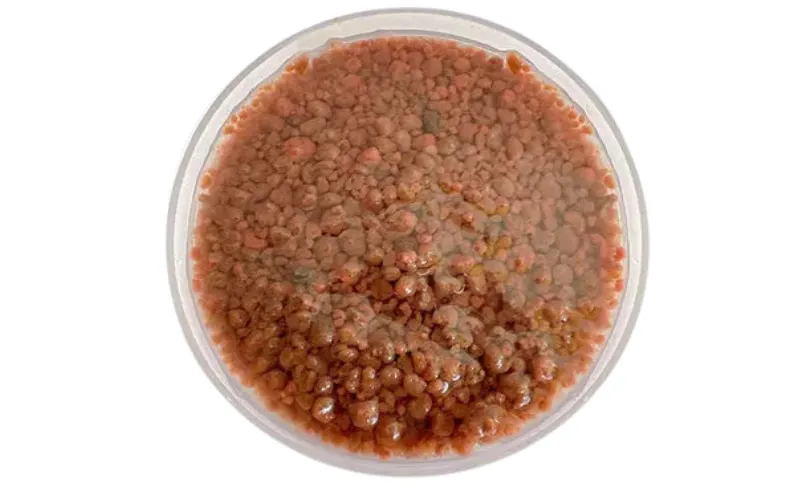 Anaerober Bio-Stimulant