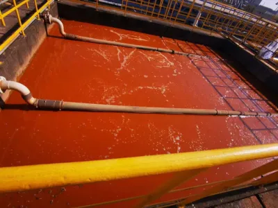 Bakterien-Aktivierungsnährstoff