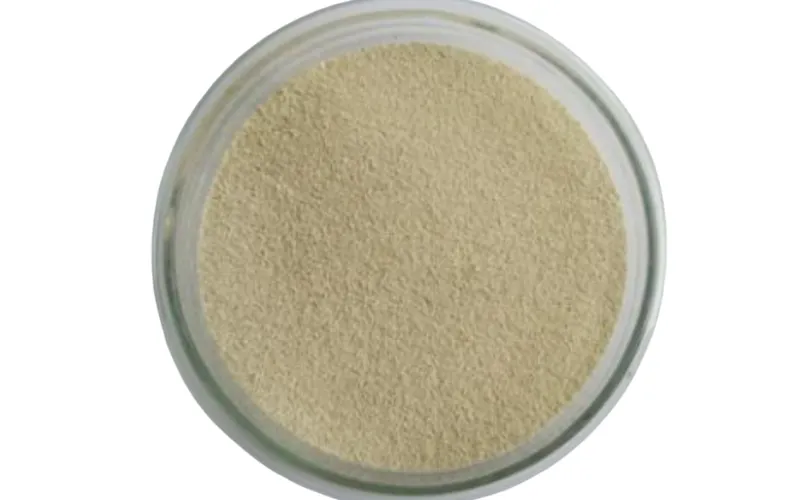 Benzol-abbauende Bakterien