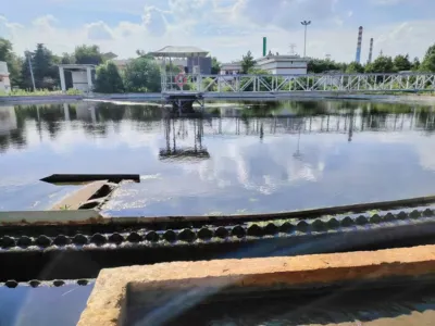 Bio-Entgiftungsbakterien