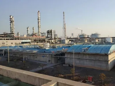 COD-Entfernungsbakterien (Anaerob)