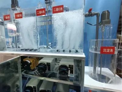 Hocheffiziente aerobe Bakterien