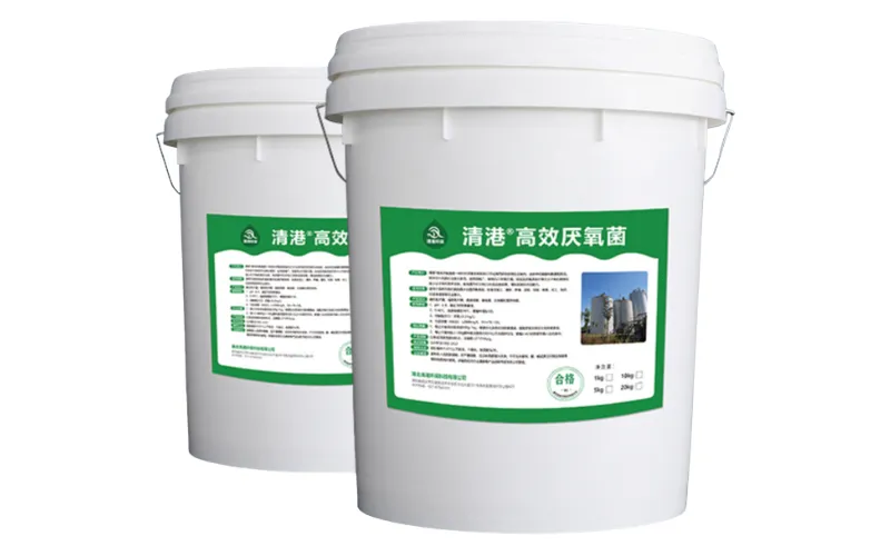 Hocheffiziente anaerobe Bakterien