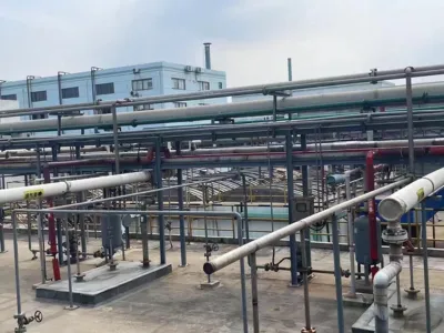 Hocheffiziente anaerobe Bakterien