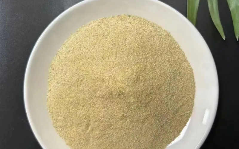 Salztolerante Ammoniakstickstoff-Entfernungsbakterien